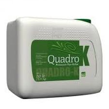 Quadro K